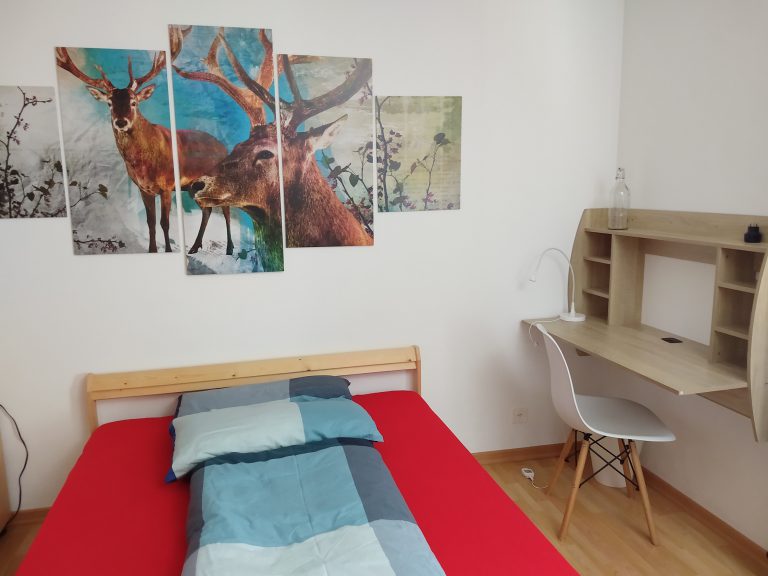 Cosy Host - Wohnung Rheintal